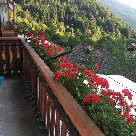 Casa Montana 1600 펜션 Sovramonte